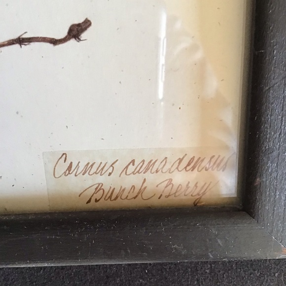 FINAL SALE Botanical Leaf Art Wall Decor - Picture 4 of 6